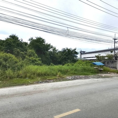 #ขายและให้เช่าที่ดินผังม่วงบ่านเก่าพานทองชลบุรี#ให้เช่าที่ดินเปล่าใกล้แหล่งอุตสาหกรรมอมตะนคร✅ให้เช่าที่ดินนื้อที่ 9-2-47 ไร่???? บ้านเก่า อ.พานทอง  จ.ชลบุรี♒ที่ดินผังสีม่วง✴️ที่ดินแหล่งอุตสาหกรรม❇️ราคาขายไร่ละ  12  ล้านบาท????ให้เช่าไร่ละ 15,000 บาท/เดือน❇️ปล่อยเช่าระยะยาว10+_____________________________สนใจติดต่อ/นัดชม☎️081-459-0982​ ลฎา☎️098-995-5449☎️085-422-6346 แอดมินAddLine​ID​: ladapa23_____________________________#ให้เช่าที่ดิน