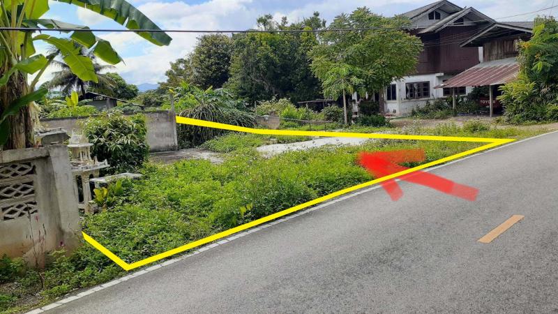 ที่ดินเปล่า 323 ตรว. ชุมชนบ้านขี้เหล็กหลวง ใกล้ ม.ราชภัฏเชียงใหม่ อ.แม่ริม จ.เชียงใหม่