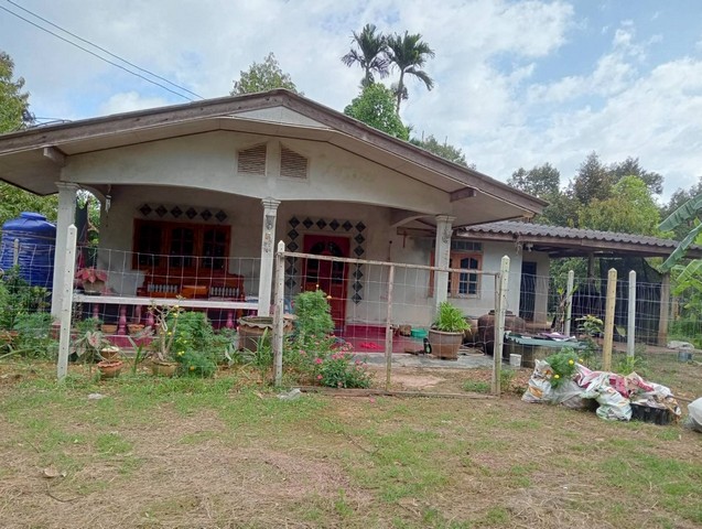 ขายบ้านพร้อมสวนผลไม้ 178 ตรว. จ.ชุมพร – พร้อมอยู่ ราคาเพียง 1.6 ล้าน!