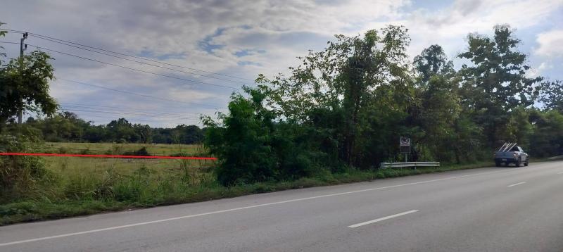 ขายที่ดินทำเลทอง ติดถนนใหญ่ เชียงใหม่–ดอยสะเก็ด ( ทล.118) ราคาถูกสุดๆๆ รีบขายที่ตั้ง: ตำบลเชิงดอย อำเภอดอยสะเก็ด จังหวัดเชียงใหม่เนื้อที่: 8 ไร่ 45 ตร.วาหน้ากว้าง: ประมาณ 45 เมตรลักษณะ: ที่ดินเปล่า ไม่มีสิ่งปลูกสร้าง พร้อมพัฒนาจุดเด่นทำเลติดถนนหลัก เชียงใหม่–ดอยสะเก็ด (ทางหลวงหมายเลข 118)เดินทางเข้าเมืองสะดวก เพียงไม่กี่นาทีถึงตัวเมืองเชียงใหม่ใกล้สำนักงานที่ด