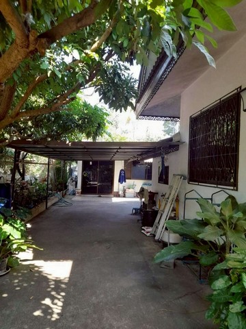 #โซนสันทราย ขาย 3.5 ล้าน บ้านพร้อมที่ดิน 150 ตรว. #เฟอร์นิเจอร์ตามรูป บรรยากาศดี เพื่อนบ้านน่ารัก ตัวบ้านกว้าง พื้นที่รอบบ้านเยอะ ใช้สอยได้หลากหลาย #ใกล้มหานครเชียงดาว (ฝั่งโอ้กะจู๋)ที่ดิน 150 ตารางวา3 ห้องนอน2 ห้องน้ำ จุดเด่นทำเลดี ใกล้ มหานครเชียงดาว – โอ้กะจู๋บรรยากาศดี เพื่อนบ้านน่ารักหมู่บ้านสงบ ปลอดภัยตัวบ้านกว้าง พื้นที่รอบบ้านเยอะ ใช้สอยได้หลากหลาย ขาย 3.5