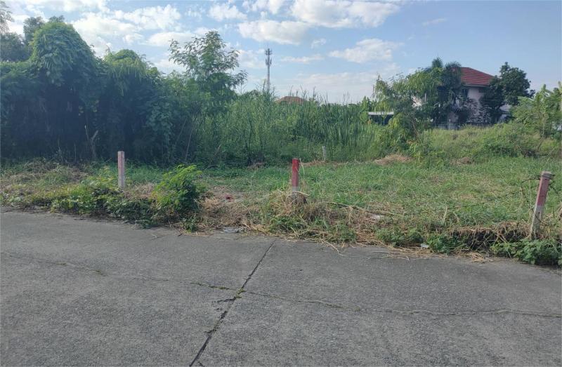 ##ขายที่ดิน 57.5 ตรว. ติดถนนหน้าหมู่บ้านโดมทอง อ.เมืองปทุมธานี จ.ปทุมธานีโซน : อ.เมือง  จ.ปทุมธานีที่ตั้ง :  ต.สวนพริกไทย  อ.เมืองปทุมธานี  จ.ปทุมธานีลักษณะโดยทั่วไป- ที่ดินเปล่า ใกล้หมู่บ้านโดมทอง, วัดเปรมประชา- เนื้อที่  57.5  ตรว.,  ติดถนนหน้าหมู่บ้านโดมทอง- หน้ากว้างติดถนน  24 ม.  ลึก  17 ม.- แปลงสวย บรรยากาศเงียบสงบ น่าอยู่อาศัย- ศูนย์กลางธุรกิจ การค้าขาย มีแปลงเดียวเท่านั้น!!- 