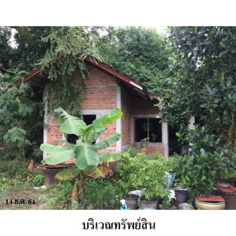   รหัสทรัพย์ (Code ID)  : PMS-2T1625  ราคา   30,895,200    บาท  ▸ เนื้อที่  24 ไร่ 2 งาน 97.7 ตร.ว.    พิกัดทรัพย์ : https://maps.app.goo.gl/y7uQaFvNvf1cSmWd6  สถานที่ใกล้เคียง   ▸ใกล้ที่ว่าการอำเภอเมืองนครศรีธรรมราช  ▸ใกล้วิทยาลัยสารพัดช่างนครศรีธรรมราช   ▸ใกล้วัดคงคาเลียบ     สอบถามเพิ่มเติม / นัดชม โทร. 097-419-5982(พลอย) โทร. 096-932-4624(ออมสิน) Line : @panaya (มี@ด้านหน้า)  ปรึกษาสินเชื่อฟรี One Stop Service ดูแลตั้งแต่ต้นจนจบบริษัท ปณยาคิดดี จำกัด 