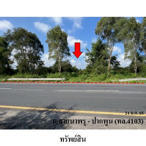   รหัสทรัพย์ (Code ID)  : PMS-3A0407  ราคา    123,224,500   บาท  ▸ เนื้อที่  59 ไร่ 3 งาน 55.0 ตร.ว.    บ้านหันไปทางทิศ เหนือ  พิกัดทรัพย์ : https://maps.app.goo.gl/LN5fBz156Vjth1H99  สถานที่ใกล้เคียง   ▸ใกล้วัดคันนาราม   ▸ใกล้วิทยาลัยการอาชีพนครศรีธรรมราช    สอบถามเพิ่มเติม / นัดชม โทร. 097-419-5982(พลอย) โทร. 096-932-4624(ออมสิน) Line : @panaya (มี@ด้านหน้า)  ปรึกษาสินเชื่อฟรี One Stop Service ดูแลตั้งแต่ต้นจนจบบริษัท ปณยาคิดดี จำกัด 