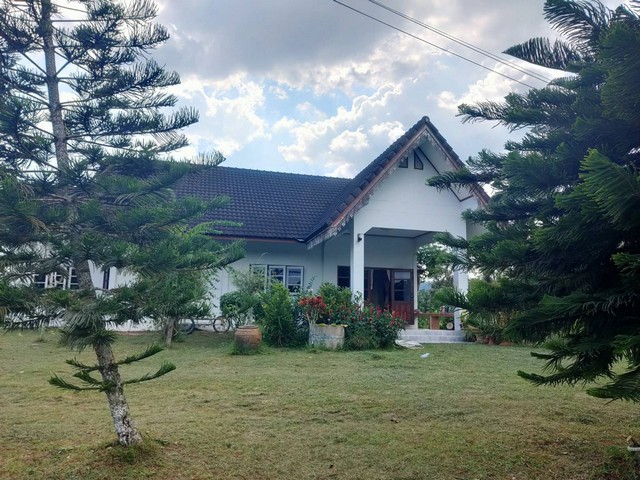 #ขายบ้านสวนพร้อมที่ดินสวนผลไม้ อำเภอแกลง จังหวัดระยอง เนื้อที่ 17 ไร่ 24 ตารางวา#รายละเอียดทรัพย์ ลดราคาพิเศษ! สวนผลไม้ 17 ไร่ ติดคลองสองสลึง (แกลง, ระยอง)พร้อมเก็บเกี่ยวผลผลิตทั้ง ทุเรียน มังคุด ลองกอง และเงาะ! ทำเลทอง ใกล้ถนนสุขุมวิทเพียง 2.2 กม. มีบ้านพักและระบบน้ำครบวงจร#ตั้งอยู่ตำบลสองสลึง อำเภอแกลง จังหวัดระยอง ขนาด: 17 ไร่ 24 ตารางวา (โฉนดพร้อมโอน)จุดเด่น: สวนทุเ