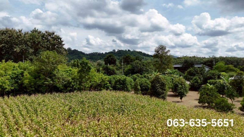 สนใจมาเที่ยวชมโทร ติดต่อ นกได้หลายช่องทางนะคะโทร. 061-494-9665โทร. 063-635-5651 (เบอร์นี้ไลน์เต็มค่ะ)ไลน์ไอดี : @nyland789(ไลน์คลิ๊กแล้วทักมาได้เลยค่ะ) https://lin.ee/R8sP0rj____________________________ที่สวยวิวเขาไม่ต้องถม3 ไร่ 2 งาน 42 ตรว. ไร่ละ 1.9 ล้าน (6,849,500)โฉนดครุฑแดงพร้อมโอนต.ชะอม อ.แก่งคอย จ.สระบุรีรูปที่สวยหันหน้าทิศตะวันออกเฉียงใต้ หน้าติดถนนคอนกรีต ประมาณ 40 เมตร ลึกประมาณ 140 เมตร ที่สูงเท่าถนนทั้งแปลงไม่ต้อง