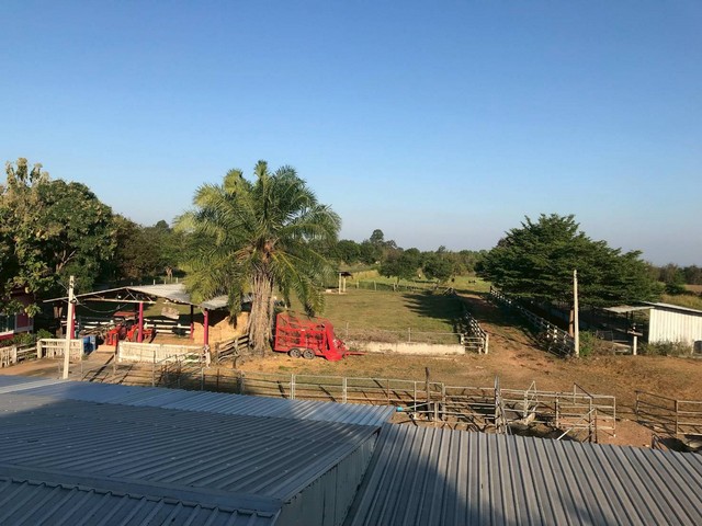 ขายที่ดินพร้อมสิ่งปลูกสร้าง อำเภอสีคิ้ว จังหวัดนครราชสีมา เนื้อที่ 14 ไร่ 98.2 ตารางวา#รายละเอียดและที่ตั้งทรัพย์ตำบลหนองหญ้าขาวอำเภอสีคิ้วจังหวัดนครราชสีมาเนื้อที่14 ไร่ 0 งาน 98.2 ตารางวาขายไร่ละ1.5 ล้านที่ดินโฉนด 14  ไร่ ใกล้โรงน้ำตาล สีคิ้ว 10 กว่ากิโลใกล้สนามกอลฟ์ พอนอราม่า  4-5   กิโล ใกล้ทางลงมอเตอร์เวย์  สีคิ้ว   10 กว่าเป็นฟาร์มเลี้ยงวัวบราห์มันขายยกให้หมด  รถไถ 