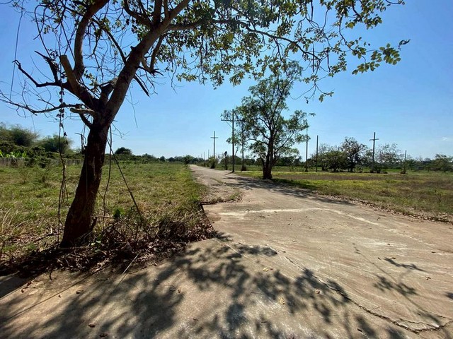 ขายที่ดินแปลงสวย ทำเลดี #ใกล้น้ำโท้ง  #หางดง เพียง 18 ล้านบาท เหมาะสำหรับผู้ที่มองหาที่ดินราคาไม่แพงบนทำเลที่กำลังเติบโต! เนื้อที่: มากกว่า 15 ไร่ ราคา: 18,000,000 บาท จุดเด่นทรัพย์ที่ดินผืนใหญ่ เหมาะสำหรับปลูกบ้านพักส่วนตัว รีสอร์ท โครงการบ้าน หรือการลงทุนระยะยาวบรรยากาศดี ใกล้ธรรมชาติ แต่เดินทางสะดวกทำเลหางดง รายล้อมด้วยชุมชน สิ่งอำนวยความสะดวกครบใกล้ถนนเส้น