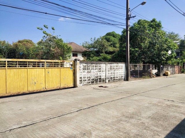 ให้เช่าที่ดินย่านเกษตร-นวมินทร์ ขนาด 2 ไร่ (แบ่งเช่าได้) ในซอยประเสริฐมนูกิจ 5 เข้าซอย 300 เมตร เหมาะทำหลายธุรกิจ ***  ราคาเช่า 65,000 บาท/ไร่/เดือน  ติดต่อ:: ชยา โทร/ID Line:: 0942823961   Link Line:: https://line.me/ti/p/3xFA1An8Kcรหัส# TO1896ที่ดินถมแล้วย่านเกษตร-นวมินทร์ ในซอยประเสริฐมนูกิจ 5- ขนาดที่ดิน 2 ไร่  (แบ่งเช่า 1 ไร่ได้) - หน้ากว้างประมาณ 50 เมตร ลึก 59 เมตร - ลักษณะที่ดินเป็นรูปสี่เหลี่ยมเหมาะสมในการใช้สอย- ถนนหน้