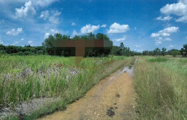  รหัสทรัพย์ (Code ID) :  PM-ASMEL0442  ราคา   584,760 บาท (ราคาต่อรองได้) ▸ เนื้อที่  143 ตร.ว (1 งาน / 43 ตร.ว) พื้นที่ใช้สอย - ตารางเมตร   ▸ - ห้องนอน - ห้องน้ำ          ▸ 1 ที่จอดรถ   ที่ดินว่างเปล่าหันไปทางทิศ   พิกัดทรัพย์ :   https://maps.app.goo.gl/yNQb2ecVtLuFXJEm6  สถานที่ใกล้เคียง ▸ใกล้วัดนพรัตนาราม ▸ใกล้วัดป่าคลอง 11 ▸ใกล้วัดเจริญบุญ ▸ใกล้วัดบึงกาสาม  สอบถามเพิ่มเติม / นัดชม โทร. 097-419-5982(พลอย) โทร. 096-932-4624(ออมสิน) Line : @panaya (มี@ด้านหน้า)  ปรึกษ