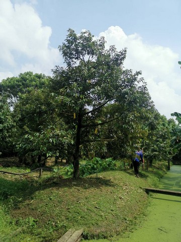 บ้านติดทะเลหัวหิน พร้อมที่ดินผืนใหญ่ 2 ไร่ 2 งาน 58 ตรว.ราคาขาย 290 ล้านบาท (ผู้ขายออกค่าใช้จ่ายวันโอนทั้งหมด)บ้านพักตากอากาศริมทะเล ทำเลพรีเมียม บรรยากาศเงียบสงบ เป็นส่วนตัว เหมาะสำหรับอยู่อาศัยระยะยาว บ้านพักตากอากาศระดับลักชัวรี่ หรือพัฒนาเป็นพูลวิลล่า/รีสอร์ตระดับไฮเอนด์ได้จุดเด่นทรัพย์   •   ที่ดินหน้ากว้างติดทะเล วิวสวยแบบพาโนรามา   •&nb