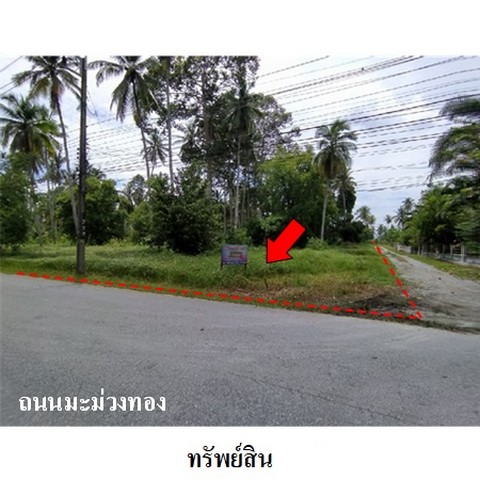   รหัสทรัพย์ (Code ID)  : PMS-4T0531  ราคา  5,398,000     บาท  ▸ เนื้อที่   4 ไร่ 79.0 ตร.ว.    บ้านหันไปทางทิศ ตะวันออก  พิกัดทรัพย์ : https://maps.app.goo.gl/nbywzALfFSjwQRMD9  สถานที่ใกล้เคียง   ▸ใกล้วัดโบสถ์  ▸ใกล้โรงเรียนวัดโบสถ์  ▸ใกล้วัดมะม่วงทอง     สอบถามเพิ่มเติม / นัดชม โทร. 097-419-5982(พลอย) โทร. 096-932-4624(ออมสิน) Line : @panaya (มี@ด้านหน้า)  ปรึกษาสินเชื่อฟรี One Stop Service ดูแลตั้งแต่ต้นจนจบบริษัท ปณยาคิดดี จำกัด 