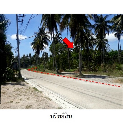   รหัสทรัพย์ (Code ID)  : PMS-4T0416  ราคา   7,303,700    บาท  ▸ เนื้อที่  3 ไร่ 1 งาน 8.2 ตร.ว.     บ้านหันไปทางทิศ ใต้   พิกัดทรัพย์ : https://maps.app.goo.gl/qUsJQbV4vzxJDGpK9  สถานที่ใกล้เคียง   ▸ใกล้โรงเรียนบ้านหน้าด่าน  ▸ใกล้สำนักงานเทศบาลตำบลขนอม  ▸ใกล้สถานีตำรวจภูธรขนอม   ▸ใกล้โรงพยาบาลขนอม   สอบถามเพิ่มเติม / นัดชม โทร. 097-419-5982(พลอย) โทร. 096-932-4624(ออมสิน) Line : @panaya (มี@ด้านหน้า)  ปรึกษาสินเชื่อฟรี One Stop Service ดูแลตั้งแต่ต้นจนจบบริษัท ปณยา