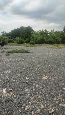 ขายที่ดิน 124 ตร.ว ซอยพัฒนาการ 30 ที่ดินสวยเหมาะสร้างบ้าน ทาวน์เฮ้าส์ ทาวน์โฮม ฯลฯที่ดินรวม : 124 ตร.วหน้ากว้าง : 31.61 เมตร / 19.29 เมตรความลึก : 30.60 เมตร / 31.19 เมตรพิกัดที่ดิน : พัฒนาการ30 แขวงสวนหลวง เขตสวนหลวง กรุงเทพมหานคร 10250#ราคาขาย : 120,000/ตร.ว  ค่าโอนคนละครึ่ง#รหัสทรัพย์ : SO662-3017สอบถามข้อมูลเพิ่มเติมโทร : 085-999-6229 (คุณฝ้าย)โทร : 085-919-9829 (คุณเก็ต)Line : @ispace.estes (มี@นำหน้า)บริษัท อินฟินิท สเปซ จำกัด บริการ