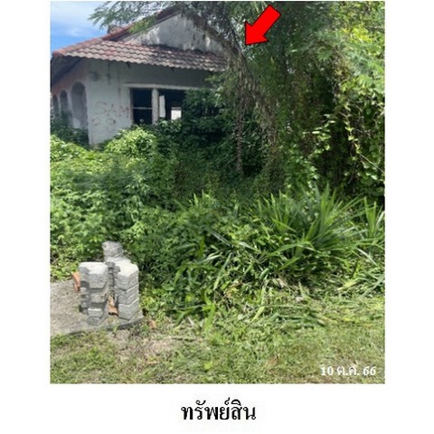   รหัสทรัพย์ (Code ID)  : PMS-3A1767  ราคา   1,349,600    บาท  ▸ เนื้อที่  1 งาน 46.3 ตร.ว.    บ้านหันไปทางทิศ ตะวันออก  พิกัดทรัพย์ : https://maps.app.goo.gl/igVNnDzQxD5Rinir5  สถานที่ใกล้เคียง   ▸ใกล้มหาวิทยาลัยมหาจุฬาลงกรณราชวิทยาลัย วิทยาเขตนครศรีธรรมราช  ▸ใกล้วัดเตาปูน  ▸ใกล้วัดสนธิ์(นาสน)   สอบถามเพิ่มเติม / นัดชม โทร. 097-419-5982(พลอย) โทร. 096-932-4624(ออมสิน) Line : @panaya (มี@ด้านหน้า)  ปรึกษาสินเชื่อฟรี One Stop Service ดูแลตั้งแต่ต้นจนจบบริษัท ปณยาคิ