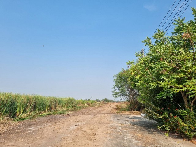 ขายที่ดิน6ไร่ผังสีม่วงจุดสีขาวเขตEEC อ.เมืองฉะเชิงเทราหน้ากว้าง 105 เมตร แปลงสวยติดถนนสาธารณะ ถนนกว้าง 8-10 เมตร รถใหญ่เข้าสะดวก เหมาะสร้างโรงงานราคาขาย 3,300,000 บาท / ไร่ (เฉลี่ยเพียง 8,250บาท/ตร.วา)ที่ตั้ง ถนนตลาดปองพล ตำบลคลองหลวงแพ่ง อำเภอเมืองฉะเชิงเทรา ฉะเชิงเทรา 24000https://www.facebook.com/profile.php?id=61581484955548ติดต่อ : คุณภัสพงณ์ 0634098164 , 0813987741Line : deedaa23เนื้อที่ 6 ไร่ หน้ากว้าง 105 เมตรผังเมืองสีม่วงอ่อนจ