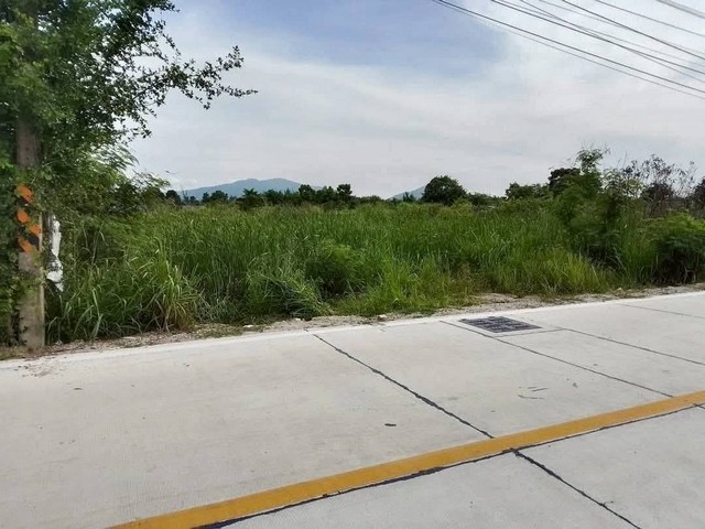 #ขายที่ดินหนองตำลึงชลบุรีที่ดินหนองตำลึง 6 ไร่ติดถนนคอนกรีต น้ำไฟพร้อม ไฟฟ้า3เฟส ท่อระบายน้ำ ใกล้นิคมอมตะนครเฟส 8-9-10 เหมาะทำหมู่บ้าน โกดัง โรงงาน #ราคาไร่ละ 2.6 ล้านบาท _____________________________#สนใจติดต่อ/#ขอนัดชม  098 - 2361563 / เอส ครับ ___________________________#ขายที่ดินหนองตำลึงชลบุรีa #ขายโรงงานกิจการชลบุรี # #ขายบ้านชลบุรีอมตะนิคมบางแสน บ.