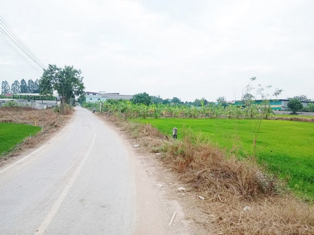 ขายที่ดินโฉนดครุฑแดง 1ไร่4.3 ล้าน พร้อมโอน พื้นที่ขนาด 40*40 เมตร#สอบถามข้อมูลเพิ่มเติมได้ทุกวันโทร: 095-8953524 คุณต้น Line:  https://line.me/ti/p/G4MnziNrk4ที่ดินใกล้เคียงราคาแพงกว่านี้ที่ดินติดถนนลาดยาง เข้าออกได้หลายทางพื้นที่ใกล้เคียงมีมินิบิ๊กซี, ซีเจมอร์, 7-11 และหมู่บ้านต่างๆตำบล บางคูรัด, นนทบุรีไฟฟ้า3เฟสผ่านหน้าที่ทางเทศบาลมีโครงการวางท่อระบายน้ำพร้อมบ่อพักและขยายถนน ปี 69-ใกล้เซ