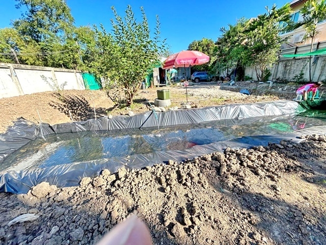 เพลินนารี่มอลล์200 ม. ตลาดตลาดถนอมมิตร200 ม. เลียบด่วนเอกมัย-รามอินทรา โกดังใหม่ บนพื้นที่ 1 ไร่  หรือ 400 ตร.ว.  1 ชั้น ทำเลดีเยี่ยม! ติดถนนรามอินทรา 57 MRT วัชรพล 4 กม. 19,999-29,999B-M 3น้ำ ติดถนนPlearnary Mall 200m Thanommit Market 200m Ekkamai-Ramintra Expressway. New warehouse on 1rai (400sq.wa.) of land, 1 story.MRT Wacharaphon 4 km. Excellent location! Adjacent to Ramintra 57 Wacharapol. 19,999-29,999 THB-month. 3-bath Road frontage.รามอินทรา 57 เลียบด่วนเอกมัย-รามอินทรา  ซ.วัชรพล ถ.วัชรพล แขวงท่าแร้ง เขตบางเขน กรุงเทพมหานคร 10220 พร้อมพื้น