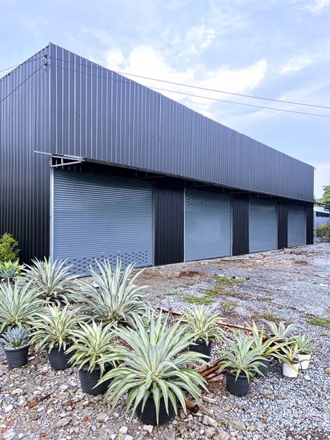 ให้เช่าโกดังใหม่ 300 ตร.ม. ถ.สารีบุตร-ฉลองกรุง ฉลองกรุง1-10  สโมสรกีฬาเอชแอนด์เอ 1.0 ม. 75 ตร.วา.  ศูนย์กระจายสินค้า TAYWIN 1.1 กม. ติดถนนใหญ่  แยกสารีบุตร-ทับยาว เหมาะกับคลังสินค้า  เดินทางสะดวก รถเข้าได้ทุกชนิด  49,998 B-M.  เลียบคลองมอญ New warehouse for rent 300 sq.m. Saribut Chalong Krung Road Sariputra ChalongKrung1-10 H&A Sports Club 1m. 75 sq.wa. TAYWIN Distribution Center 1.1 km. on the main road Saribut Thap Yao intersection Suitable for warehousing easy access for all types of vehicles 49,998 B-M. Along Khlong Mon   เลียบคลองมอญ ถ. สารีบุตร-ฉลองกรุง  แขวงทับย�