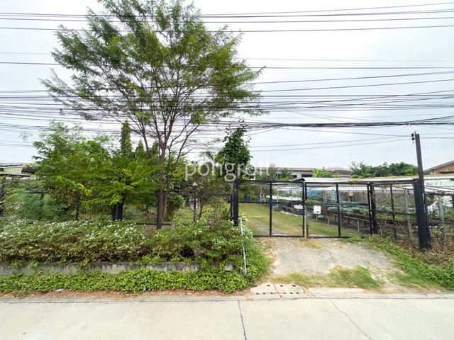 ที่ดิน 198 ตรว. ถมแล้วแปลงสวย รามอินทรา–สุขาภิบาล 5 | เข้า–ออกได้หลายเส้นทางที่ดินทำเลดี รามอินทรา กม.4 – สุขาภิบาล 5 ซ.5 แยก 10แปลงนี้อยู่ในโซนชุมชน เดินทางสะดวก เข้า–ออกได้หลายทาง ทั้งรามอินทรา / สุขาภิบาล 5 / เพิ่มสินถนนซอยเป็นคอนกรีตสภาพดี เหมาะสำหรับสร้างบ้าน ออฟฟิศ หรือโกดังขนาดเล็กเนื้อที่ 198 ตรว.หน้ากว้าง 20 ม. ลึก 40 ม.ถมแล้ว พร้อมใช้งานทันทีจุดเด่นของแปลงนี้ถม