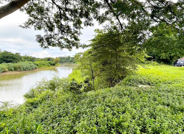 รหัสทรัพย์ 68171 ขายที่ดิน 1 งาน 41 ตารางวา นส.4 โฉนดครุฑแดง ติดแม่น้ำป่าสัก ใจกลางเมืองสระบุรี พิกัดที่ตั้ง :  ถนน หมายเลข 362 ตำบล ตะกูด อำเภอเมือง จังหวัดสระบุรี รายละเอียดทรัพย์ - ขายที่ดิน 1 งาน 41 ตารางวา ติดแม่น้ำป่าสัก ใจกลางเมืองสระบุรี- หน้ากว้าง 38 ลึก 15 เมตร - ที่ดินเหมาะสร้างทำที่อยู่อาศัย บ้านพักริมน้ำ ร้านคาเฟ่ริมน้ำ ร้านอาหารริมน้ำ หรือทำธุรกิจได้ - ทางเข้าเป