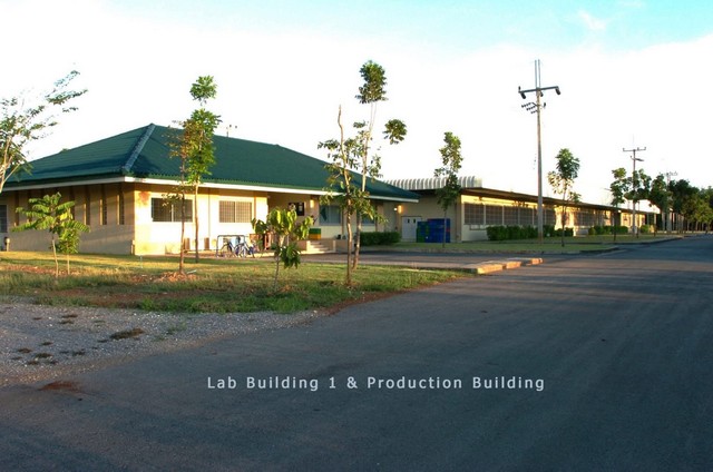  #ขาย!! ที่ดินพร้อมโรงงานใหญ่ 29 ไร่กว่า พร้อมใช้งานรวม พท. ใช้สอยเกือบ 13,000 ตร.ม. อำเภอเขาชะเมา จ.ระยอง #ผังสีเหลืองอ่อน #โรงงานก่อสร้างด้วยมาตรฐานสูง โดยบริษัทก่อสร้างชั้นนำของประเทศ (บริษัท อิตาเลียนไทย ดีเวล๊อปเมนต์ จำกัด (มหาชน)) #ราคาพิเศษเพียง 105 ล้านบาทเท่านั้น! พร้อมใบ รง.4 สำหรับกลุ่มเคมีภัณฑ์ สามารถเริ่มธุรกิจได้ทันทีทำเลทอง ติดถนน 3377 ต.น้ำเป็น อ.เขาชะเมา จ.ร�