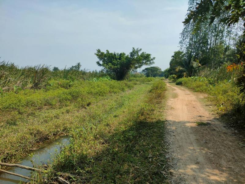 ##ขายที่ดินเปล่า 12-0-31 ไร่ ใกล้หาดปึกเตียน อ.ท่ายาง จ.เพชรบุรีโซน : หาดปึกเตียน, จ.เพชรบุรีที่ตั้ง :  หมู่บ้านเมืองใหม่พัฒนา หมู่ที่ 2 ตำบลปึกเตียน อำเภอท่ายาง เพชรบุรี  76130ลักษณะโดยทั่วไป- ที่ดินเปล่า 12-0-31 ไร่ ติดถนน, ติดคลอง- เนื้อที่  12-0-31  ไร่ , ห่างจากชายหาดปึกเตียนเพียง 2.5 กิโลเมตร- หน้ากว้าง 230 เมตร- ดินแปลงสวย ด้านหน้าติดถนนและคลอง- ที่ตั้งแปลงที่ดิน มีความเป็นส่วนตัว บ