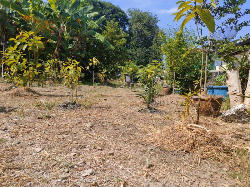 ##ขายที่ดินเปล่า 136 ตรว. ใจกลางเมือง (ซ.ลาดปลาเค้า 76) เขตบางเขน กทม.โซน : บางเขน, กรุงเทพฯที่ตั้ง :  ม.ปั้นทอง 3 ซอยลาดปลาเค้า 76 (แยก 3-4, 3-6) แขวงหลุมไผ่ เขต.บางเขน จ.กรุงเทพฯลักษณะโดยทั่วไป- ขายที่ดินเปล่า ใจกลางเขตบางเขน, ติดสถานีรถไฟฟ้ารามอินทรา- เนื้อที่  136  ตรว., อยู่ใจกลางเมือง, ศูนย์กลางธุรกิจ, การค้า, การลงทุน- หน้ากว้าง 18 เมตร ลึก 30 เมตร- ที่ดินถมเรียบร้อย, ติดถนนสองด้าน, น�