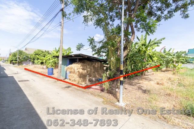 M 11834ขายที่ดิน ซ.สวนผัก ปทุมธานี ใกล้วัดหนองปรง ทำเลทอง ราคานี้หายากสุดๆรายละเอียด•ที่ดินแปลงนี้ตั้งอยู่ในซอยสวนผัก ทางเข้าวัดหนองปรง ตำบลบางเดื่อ อำเภอเมืองปทุมธานี•เนื้อที่ 100 ตารางวา หน้ากว้างประมาณ 16 เมตร ลึกประมาณ 28 เมตร ปัจจุบันเป็นแปลงปลูกผัก•ติดทางสาธารณะ(ซ.สวนผัก) เพียง 300 เมตร เข้าออกสะดวก บรรยากาศดี เงียบสงบ เหมาะทั้งสำหรับปลูกบ้านพักอาศัย ทำสวน