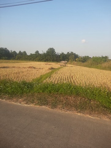 ขายที่ดิน 2ไร่ 80 ตร.วา ราคา 6.4ล้านบาท ใกล้วัดร้องขุ่น ต.ป่าอ้อดอนชัย อ.เมือง เชียงรายขายที่ดินสวย 2 ไร่ 80 ตารางวาราคา 6,400,000 บาท โอนคนละครั่งหมู่ 3 บ้านริมลาว ต.ป่าอ้อดอนชัย อ.เมือง เชียงรายใกล้วัดร้องขุ่นใกล้ธนาคารออมสินสาขาร่องขุ่น ก่อนถึงวีแบค 200 เมตรมีถนนผ่านจากทางหลวงถนนพหลโยธิน 300 เมตรพิกัดจาก google map หน้าแปลงที่ขาย :ตำบลป่าอ้อดอนไชย, เชียงรายhttps://maps.app.goo.gl/i4gr1jWnGdjXhjXF8*** สนใจ�