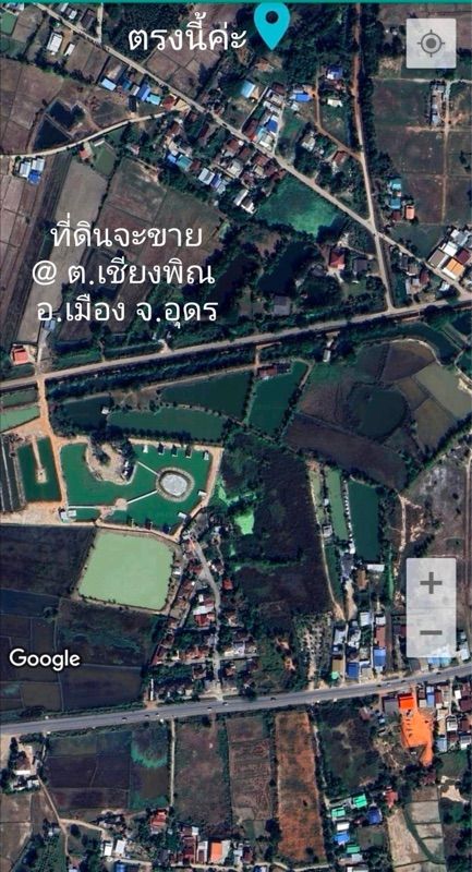 ขายที่ดินเปล่า ทำเลดี ติดถนนคอนกรีต ราคาพิเศษ จังหวัดอุดรธานีที่ตั้ง ; ตำบลเชียงพิณ อำเภอเมืองอุดรธานี จังหวัดอุดรธานี 41000ขนาดเนื้อที่ : 97.7 ตรว.รายละเอียด-ห่างตัวเมืองอุดรธานีเพียง 5 กม.-การเดินทางสะดวกมาก-ติดถนนคอนกรีต-ไฟฟ้า ประปาครบ-อยู่ในแหล่งชุมชน-เหมาะสำหรับสร้างบ้านพักอาศัยสถานที่ใกล้เคียง-ใกล้ตลาดไทศิริ 3 บ้านวัวฆ้อง 3 กม.-ใกล้โลตัสโกเฟรช -ซีเจมอร์-เซ�