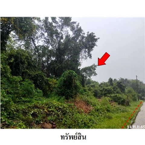   รหัสทรัพย์ (Code ID)  : PMS-8Z2910  ราคา   6,436,000    บาท  ▸ เนื้อที่  1 ไร่ 1 งาน 14.0 ตร.ว.     บ้านหันไปทางทิศ ใต้   พิกัดทรัพย์ : https://maps.app.goo.gl/a5Wp2ao81WM1r2T76  สถานที่ใกล้เคียง   ▸ใกล้วิหารสมเด็จพระพุทธมหามงคลบพิตร (วิหารน้ำน้อย)   ▸ใกล้วัดน้ำน้อยนอก  ▸ใกล้โรงพยาบาลส่งเสริมสุขภาพตำบลน้ำน้อย    สอบถามเพิ่มเติม / นัดชม โทร. 097-419-5982(พลอย) โทร. 096-932-4624(ออมสิน) Line : @panaya (มี@ด้านหน้า)  ปรึกษาสินเชื่อฟรี One Stop Service ดูแลตั้งแต่ต้นจนจ