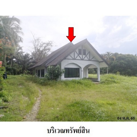 รหัสทรัพย์ (Code ID)  : PMS-4T0558  ราคา   1,703,500    บาท  ▸ เนื้อที่  2 ไร่ 3 งาน 33.8 ตร.ว.   ▸ 2 ห้องนอน 1 ห้องน้ำ    ▸ 1 ที่จอดรถ   บ้านหันไปทางทิศ เหนือ  พิกัดทรัพย์ : https://maps.app.goo.gl/MHpHi5QHb8Zo8dNC7  สถานที่ใกล้เคียง   ▸ใกล้มัสยิดเราะมะห์  ▸ใกล้องค์การบริหารส่วนตำบลม่วงกลาง  ▸ใกล้โรงเรียนบ้านสำนัก    สอบถามเพิ่มเติม / นัดชม โทร. 097-419-5982(พลอย) โทร. 096-932-4624(ออมสิน) Line : @panaya (มี@ด้านหน้า)  ปรึกษาสินเชื่อฟรี One Stop Service ดูแลตั้งแต่ต้นจนจ�