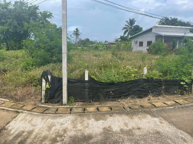 ขายที่ดินทำเลสวย  เนื้อที่ 2 งาน  84  ตารางวา  ราคา 700,000 บาท  ตำบลบัวสลี อำเภอแม่ลาว  จังหวัดเชียงรายที่ดินเปล่า แปลงสวยมาก  เนื้อที่ 2 งาน  84  ตารางวา  บ้านหัวโล๊ะ  ตำบลบัวสลี อำเภอแม่ลาว  จังหวัดเชียงรายขายยกแปลง ราคาเพียง  700,000 บาท  ค่าโอนคนละครึง  ราคานี้คุ้มมากๆ ที่ดินถมไว้นานสองปี พร้อมสร้างบ้านได้ทันที มีไฟฟ้า มีน้ำประปาทำเลดี  เดินทางสะดวก  ติดถนนสาธารณะใกล้พุทธ�