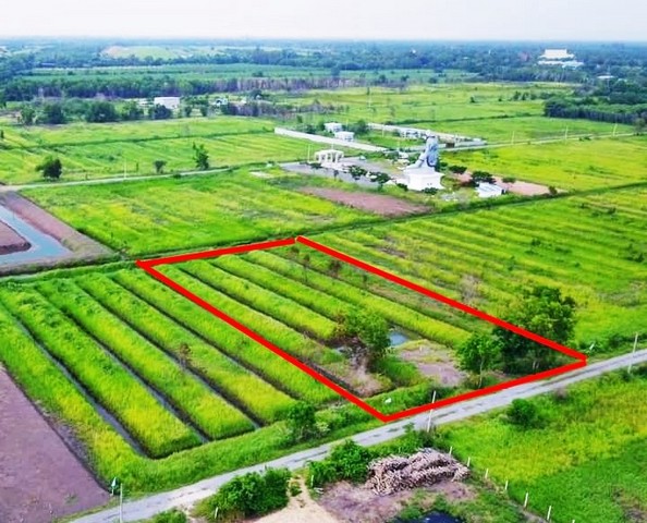 ถูกมาก! ที่ดินคลอง10หนองเสือ 2ไร่1.6ล (8แสน/ต่อไร่) พื้นที่สีชมพู 086-301-6161ถูกมาก! ที่ดินคลอง10หนองเสือ 1ไร่เพียง8.5แสน มีลำรางท้ายแปลง 086-301-6161*ขายเงินสด* ‼เจ้าของต้องการขายด่วนเนื่องจากดูแลไม่ไหวอายุมากแล้วกำไรตั้งแต่ซื้อค่ะ เพราะขายถูกมากๆ ค่ะพิกัด คลอง10 อ.หนองเสือ จ.ปทุมธานี  #พื้นที่สีชมพู *ขนาด 2 ไร่ ราคา 1,600,000 บาท (8แสน/ไร่) (กว้าง40ม. ลึก80 ม.) *กรณีซื้อ 1 ไร่ ราคา 850,000 บาท  (กว้าง20ม. ลึ