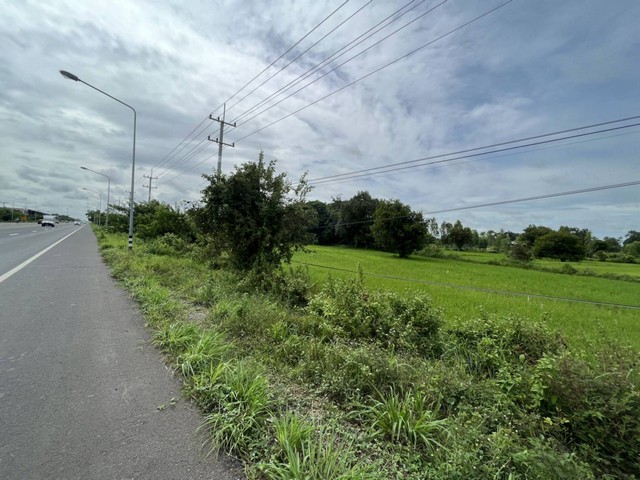 ขายที่ดินที่นา 3-1-46ไร่ 10ลบ. ไฟฟ้า ประปา ติดถนน4เลน เข้าเมือง 13กม. ต.หนองแก้ว อ.เมือง ศรีสะเกษที่ดิน ที่นา พื้นที่ 3ไร่ 1งาน 46 ตารางวาเอกสารโฉนดครุฑแดงขายราคา 10,000,000 บาท โอนคนละครึ่ง ต่อรองได้ไฟฟ้า ประปา ผ่านแปลงที่ดินติดถนน 4เลน เลข226 ฝั่งขาเข้า ห่างเมืองศรีสะเกษ 13 กม.ใกล้ อบต.หนองแก้ว 1.8 กม.ใกล้ แมคโครศรีสะเกษ 7.2 กม.ใกล้ เทศบาลเมืองศรีสะเกษ 13 กม.*** สนใจสอบถาม ***โทร : 0945735168Line ID : piyawitnoom