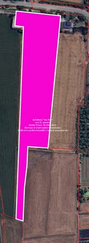 DSL-1047สนใจติดต่อ: โดม รัชดา (Exclusive Contract)โทร: 065-586-9872ไลน์ไอดี: 0655869872 หรือ giantmw หรือ @yem0202nFacebook: https://bit.ly/3vdegO8Fanpage: https://bit.ly/488TrlDรับจำนอง & ขายฝากอสังหาฯ.ทุกประเภทพิเศษ: รับซื้อ-ขาย และจัดหารถยนต์มือ 2 ทุกรุ่น & ทุกงบประมาณ.ขายบ้าน 2 ชั้น พร้อมที่ดินทุ่งนา อ.นครชัยศรี นครปฐม 11-3-13 ไร่ ราคา 23,565,000 บาท .รายละเอียดทรัพย์: 1. ที่ดินเป็นเอกสารสิทธิ์โฉนด (น.ส.4 จ) ที่มีเนื้อที่ 11-3-13 ไร่ (4,713 ตร.ว.) และอยู่ติดถนนหลัก2. ขนาด