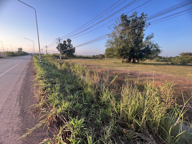      ขายที่ดิน สวยๆ ใกล้แยกการไฟฟ้าหนองคาย 2 ไร่ 83 ตรว.     และแปลง 4 ไร่ 4 ตรว.          ที่ดินทำเลดีๆ ราคาถูก  ใกล้ทางหลวงแผ่นดินใหม่ หมายเลข 247     ใกล้ มข.ขอนแก่นวิทยาเขตหนองคาย 1 กม.     ใกล้ตลาดแจ้งสว่าง 2 กม.      ใกล้ด่านมิตรภาพไทย-ลาว 7 กม.      ใกล้แม็คโคร 2 กม.,ห้างโลตัสใหญ่และบิ๊กซี 5 กม,      ที่ดินสวยเป็นเนินเหมือนสนามฟุตบอล สูงเท่าถนนหลวง มีทางสาธารณะ เข้า-ออก ตามในโฉนด      ใกล้ทางเลี�