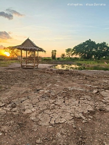 เพียง2.5แสน฿100ตรว.ที่ดินทำสวนเกษตรใกล้กรุงฯ คลอง11 หนองเสือ ปทุมฯ 086-301-6161สุดจัด คุ้มจริง ต้องรีบค่ะเพียง2.5แสน฿100ตรว.ที่ดินทำสวนเกษตรใกล้กรุงฯ 086-301-6161พิกัด ต.บึงกาสาม คลอง11 หนองเสือ ปทุมฯ สอบถาม/นัดเยี่ยมชม T.วรุณรัตน์ 086-301-6161   o86-3ol-6l6lด่วนค่ะ 100 ตรว. 250,000 บาทเท่านั้น เหมาะทำบ้านสวนเกษตรฯ ในราคาจับต้องได้น้ำไฟพร้อมถนนสาธารณะประโยชน์ คลอง 11 หนองเสือปทุมธานีห่างเส้นคลองระพีพัฒน