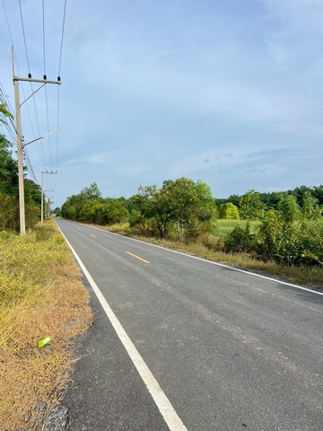 ถูกจัด ที่ดินใกล้กรุงฯ ติดถนนลาดยาง 200ตรว.7แสน฿ คลอง9หนองเสือ ปทุมฯ 086-301-6161สอบถาม/นัดเยี่ยมชม T.วรุณรัตน์ 086-301-6161   o86-3ol-6l6lที่สวยติดถนนลาดยาง คุ้มมากๆค่ะ ทำเลดี อนาคตไกล ที่ดินเหมาะทำบ้านสวน โกดังพิกัด ค.9  ต.บึงชำอ้อ อ.หนองเสือ ปทุมธานีแบ่งแปลงละ 200 ตรว. Vายเพียง 700,000 บาทมีเพียง 5 แปลงเท่านั้น (ใกล้หมดแล้วค่ะ)::ติดถนนลาดยาง 7 เมตร::ไฟฟ้า ปะปาหน้าแปลงกว้าง 19.246 ม. ลึก 41ม.โฉนดครุฆแดงฟร