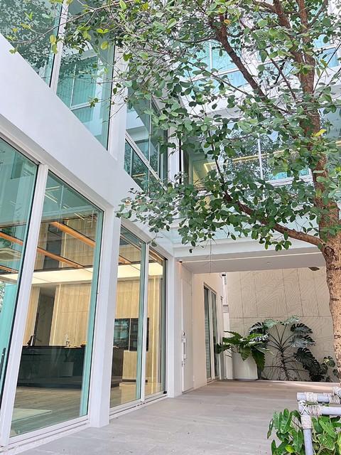 ขาย  ให้เช่าบ้านหรู 3 ชั้น มีลิฟต์ในบ้าน 4 ห้องนอน โครงการ VIVE เอกมัย-รามอินทรา ซอยโยธินพัฒนา 3 เลียบด่วน*** ราคาเช่า 400,000 บาท/เดือน ประกัน 2 เดือน ล่วงหน้า 1 เดือน สัญญาขั้นต่ำ 1 ปี*** ราคาขาย 119,000,000 บาทติดต่อ คุณช่อผกา 0616198565 LINE 0616198565หากไม่รับสาย รบกวนขอความกรุณาลูกค้า @line ทิ้งรูปและข้อมูลไว้นะคะhttps://line.me/ti/p/zu0mm-ozFXบ้านเดี่ยวสุดหรู 3 ชั้น โครงการ VIVE เอกมัย-รามอินทรา ถนนประดิษฐ์มนูธรรม ซอยโ�