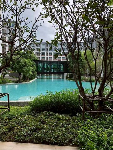 ขายด่วน! ราคาพิเศษเพียง 1.95 ล้าน 30 ตรม. #Dcondo #Ping คอนโดทำเลทอง #ติดเซ็นทรัลเฟสติวัล ตกแต่งสวย #หิ้วกระเป๋าเข้าอยู่ได้ทันที #เหมาะทั้งอยู่อาศัยเองและลงทุนปล่อยเช่ารายละเอียดห้องขนาด 30 ตร.ม.ชั้น 3 อาคาร D1 ห้องนอน1 ห้องนั่งเล่น1 ห้องน้ำห้องหัน ทิศใต้ ลมดี ไม่ร้อนเฟอร์นิเจอร์ + เครื่องใช้ไฟฟ้าครบDigital Door Lockแอร์ / ทีวีตู้เย็นไมโครเวฟเตาไฟฟ้า + เครื่องดูดควันเครื่องซักผ้าเครื่�