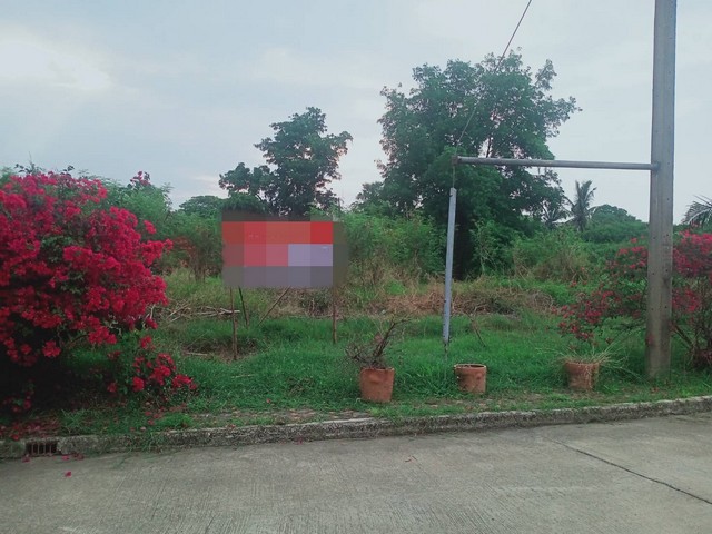  รหัสทรัพย์ (Code ID) :  PM-NSMEI0044  ราคา   5,115,000 บาท (ราคาต่อรองได้) ▸ เนื้อที่   310 ตร.ว (3 งาน / 10 ตร.ว) พื้นที่ใช้สอย - ตารางเมตร   ▸ - ห้องนอน - ห้องน้ำ           ▸ 1 ที่จอดรถ   ที่ดินว่างเปล่าหันไปทางทิศ   พิกัดทรัพย์ :  https://maps.app.goo.gl/DqQ7iMokrBMS1RXA7  สถานที่ใกล้เคียง ▸ใกล้วัดท่าตำหนัก ▸ใกล้โลตัส นครชัยศรี ▸ใกล้วัดท่าตำหนัก ▸ใกล้ตลาดท่านา นครชัยศรี  สอบถามเพิ่มเติม / นัดชม โทร. 097-419-5982(พลอย) โทร. 096-932-4624(ออมสิน) Line : @panaya (มี@ด้�