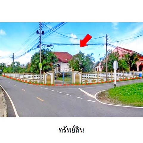   รหัสทรัพย์ (Code ID)  : PMS-8Z5693  ราคา   3,588,000    บาท  ▸ เนื้อที่  3 งาน 42.0 ตร.ว.   ▸ 3 ห้องนอน 2 ห้องน้ำ    ▸ 2 ที่จอดรถ   บ้านหันไปทางทิศ ตะวันตก   พิกัดทรัพย์ : https://maps.app.goo.gl/B21eCS2jbhxcwXsj7  สถานที่ใกล้เคียง   ▸ใกล้โรงเรียนบ้านม่วงงาม  ▸ใกล้มัสยิดกูวาเต็ลอิสลาม  ▸ใกล้โรงพยาบาลส่งเสริมสุขภาพตำบลม่วงงาม    สอบถามเพิ่มเติม / นัดชม โทร. 097-419-5982(พลอย) โทร. 096-932-4624(ออมสิน) Line : @panaya (มี@ด้านหน้า)  ปรึกษาสินเชื่อฟรี One Stop Service ดูแลต�