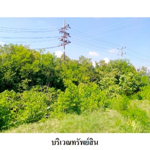   รหัสทรัพย์ (Code ID)  : PMS-8Z3957  ราคา   5,345,600    บาท  ▸ เนื้อที่  2 ไร่    บ้านหันไปทางทิศ ตะวันออก  พิกัดทรัพย์ : https://maps.app.goo.gl/cvvptgFkr6nov1iQ7  สถานที่ใกล้เคียง   ▸ใกล้ตลาดสดเย็น ตลาดสุขจันทร์ (ตลาดรับแพรก)  ▸ใกล้วัดอู่ตะเภา (วัดเก่า)      สอบถามเพิ่มเติม / นัดชม โทร. 097-419-5982(พลอย) โทร. 096-932-4624(ออมสิน) Line : @panaya (มี@ด้านหน้า)  ปรึกษาสินเชื่อฟรี One Stop Service ดูแลตั้งแต่ต้นจนจบบริษัท ปณยาคิดดี จำกัด 