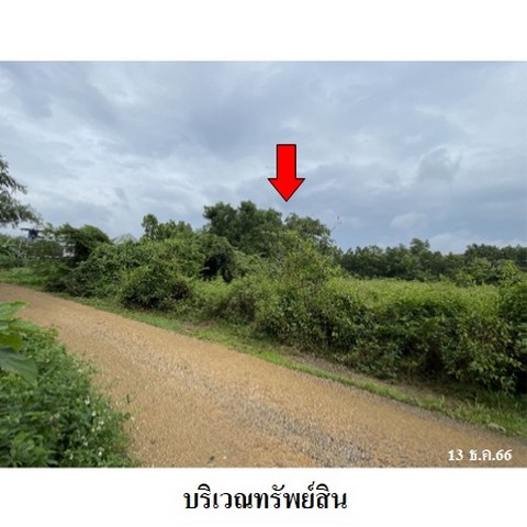   รหัสทรัพย์ (Code ID)  : PMS-LL0014  ราคา   5,961,800    บาท  ▸ เนื้อที่  2 ไร่ 3 งาน 81.5 ตร.ว.    บ้านหันไปทางทิศ ตะวันออก  พิกัดทรัพย์ : https://maps.app.goo.gl/znFcq3GtCCmBppKj6  สถานที่ใกล้เคียง   ▸ใกล้โรงเรียนบ้านหาร  ▸ใกล้โรงเรียนบ้านหนองนายขุ้ย ▸ใกล้วัดอัมพวัน (วัดม่วงสาวตีอก)    ▸ใกล้โรงเรียนพิพัฒน์ทักษิณ หาดใหญ่   สอบถามเพิ่มเติม / นัดชม โทร. 097-419-5982(พลอย) โทร. 096-932-4624(ออมสิน) Line : @panaya (มี@ด้านหน้า)  ปรึกษาสินเชื่อฟรี One Stop Service ดูแลตั