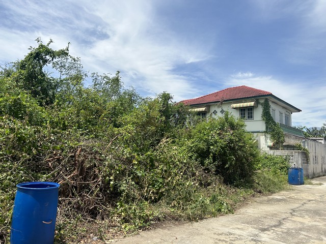 ขายที่ดินเปล่า หมู่บ้านกำแพงแสนกรีนแลนด์ นครปฐม ที่ดินทำเลดีสำหรับสร้างบ้าน โฮมออฟฟิศ ใจกลางกำแพงแสน นครปฐมมี 2 แปลงติดกันหน้ากว้าง 14 ม. ลึก 20 ม.ถนนคอนกรีตหน้ากว้าง 6 ม.มีไฟฟ้าและน้ำประปา2 แปลงๆ ละ 70 ตร.ว รวม 2 แปลง 140 ตร.วรวมราคา 2 แปลง 1,608,000 บาทราคาต่อรองได้อีกคะที่ตั้ง: ซอยหมู่บ้านกำแพงแสนกรีนแลนด์ ต.กำแพงแสน อ.กำแพงแสน นครปฐมสถานที่ใกล้เคียง:- ม.เกษตร 4.8 กม.- โลตัสกำแ�