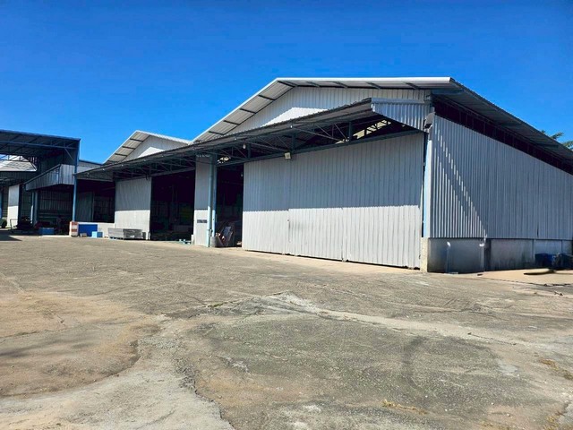 #ขายโรงงานบ้านบึงชลบุรี????ผังสีเหลือง✅เนื้อที่ดิน  6-0-87  ไร่????อ.บ้านบึง  จ.ชลบุรี✴️มีใบอนุญาตรง4 ????ราคา  57  ล้านบาท___________________________________✅รายละเอียด:•โรงงาน 1,600 ตารางเมตร•โกดังสูง 6 เมตร•รับน้ำหนักได้ 3 ตัน/ตารางเมตร•บ้านพัก 4 ห้องนอน 2 ห้องน้ำ•มีสำนักงาน•ไฟฟ้า 100 kva•มีโรงอาหาร•ห้องพักคนงาน 4 ห้อง•บ้านพักคนงาน 2 ห้องนอน 1 ห้องน้ำ•โกดังสำหรับเก็บสินค้า 80 ตารางเมตร•โรงพ่นกาว 72 ตาราง�