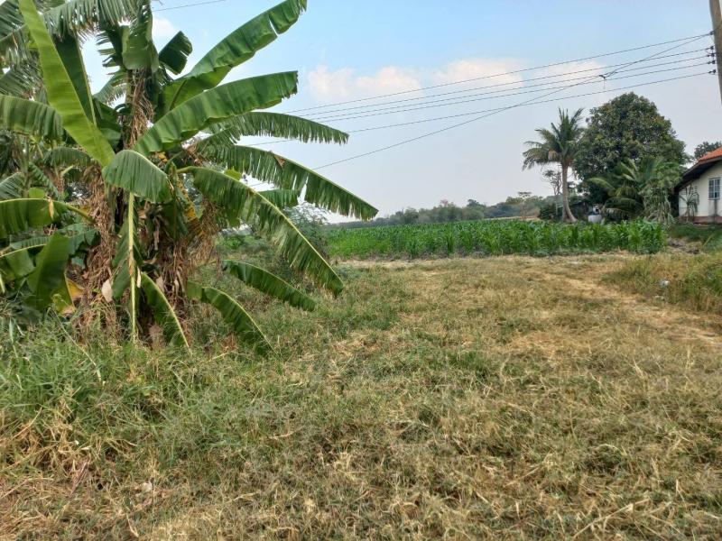 ขายที่ดิน 12 ไร่ 20 ตารางวา เจ้าของขายเอง ตำบลช่องสาริกา อำเภอพัฒนานิคม จังหวัดลพบุรีที่ตั้ง : ตำบลช่องสาริกา อำเภอพัฒนานิคม จังหวัดลพบุรีขนาดที่ดิน :  12 ไร่ 20 ตารางวารายละเอียด​  พื้นที่สีม่วง มีถนน 4 เลนล้อมรอบมีโรงงานในพื้นที่ ประมาณ 40 โรงงานที่ดินติดถนนลาดยาง มีหน้ากว้าง 40 เมตร เดินทางสะดวกสบาย  น้ำ ไฟฟ้า อยู่หน้าที่ดิน  และอยู่ติดกับแหล่งชุมชน มีเพื่อนบ้านส